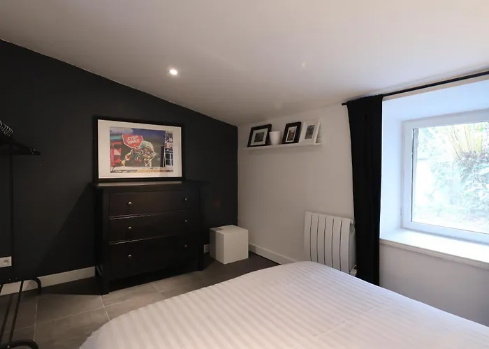 Appartement Du Grand Cerf *